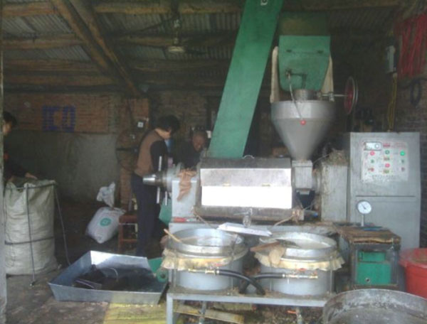 榨油機(jī)用戶訪問：鄉(xiāng)鎮(zhèn)之間榨油坊生意如何？